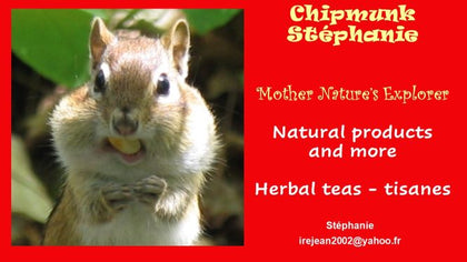 Chipmunk Stephanie - Mother Nature's Explorer