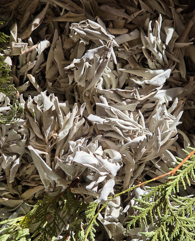 White Sage - 50g & 100g; by Wesley Havill