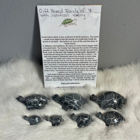 Turtle family; by Wesley Havill