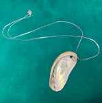 Small Abalone Shell Necklace - 18" Chain