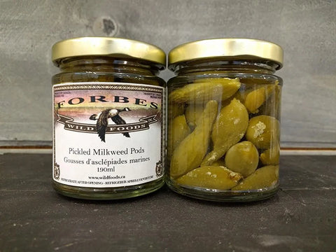 Forbes Wild Foods - Pickled Milkweed Pods