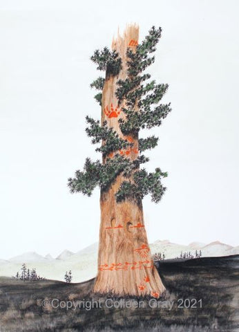 Sequoia Story Tree; by The Art for Aid Project